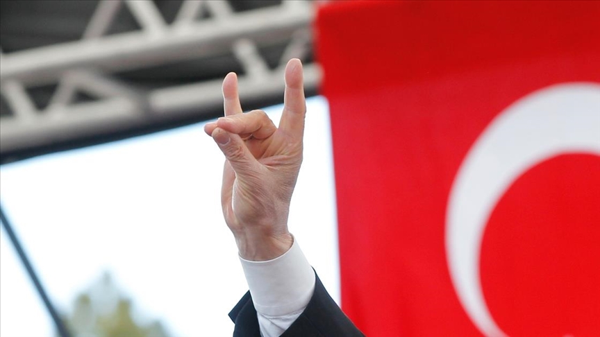 France plans to ban a Turkish ultra-nationalist group