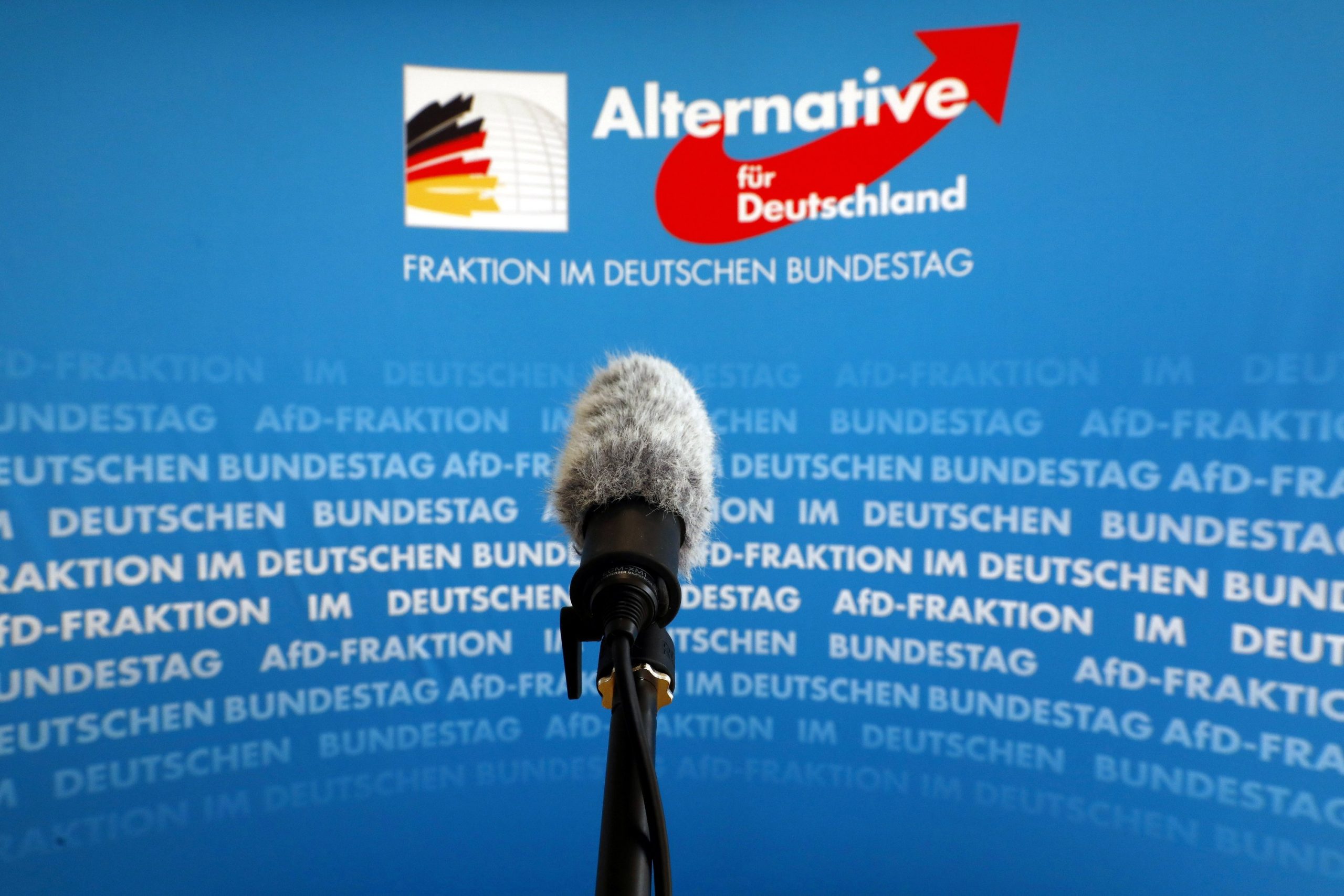 The far-right Alternative for Germany is preparing its election platform