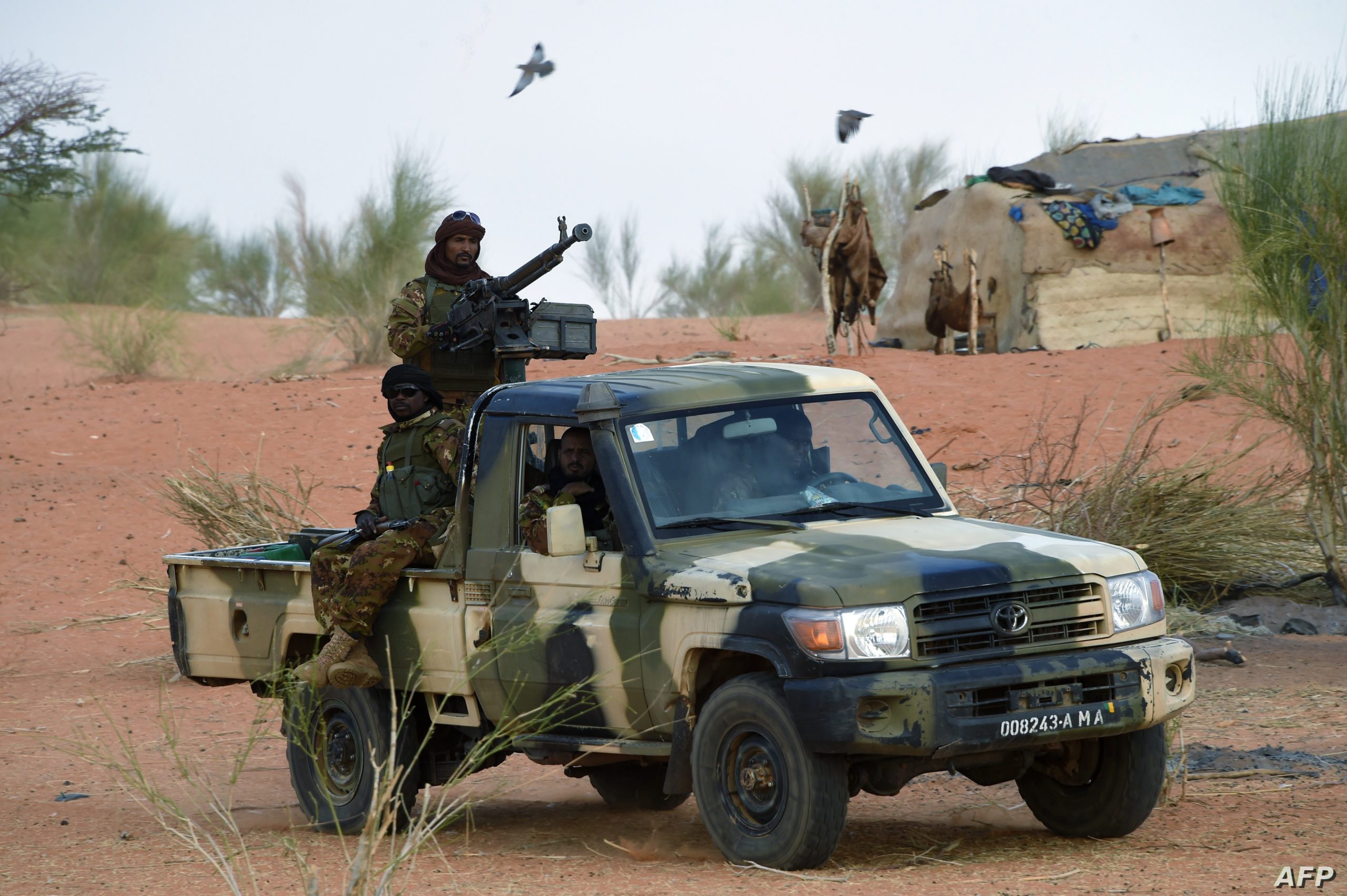 Jihadist in Sahel